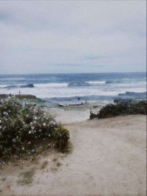 Nature, Bonito, Airy Beach Aesthetic, Flowers And Beach Aesthetic, Calm Vintage Aesthetic, Ocean Calm Aesthetic, Floral Beach Aesthetic, Beach Aesthetic Polaroid, Dreamy Beach Aesthetic