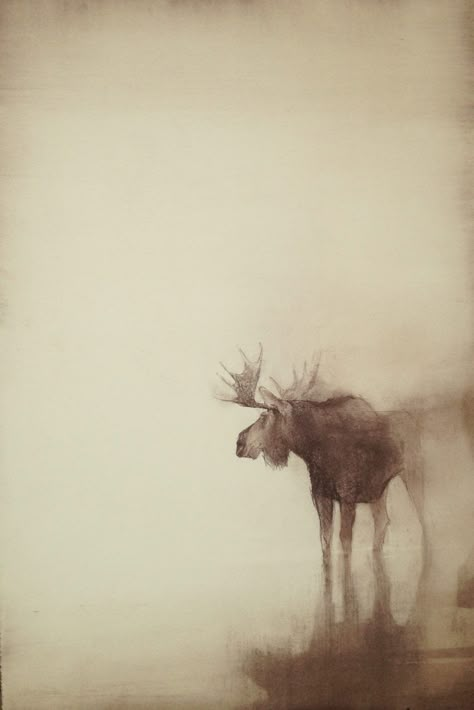 Moose Painting, Beautiful Wildlife, American Painting, Arte Animal, Watercolor Techniques, Watercolor Animals, Wildlife Art, Art Watercolor, National Museum