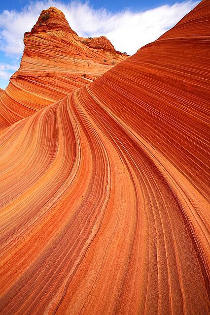 Paria Canyon, Arizona Sandstone Rock, Coyote Buttes, Paria Canyon, Colorado Plateau, Arizona Road Trip, Orange Aesthetic, Rock Formations, Aesthetic Colors, Zion National Park