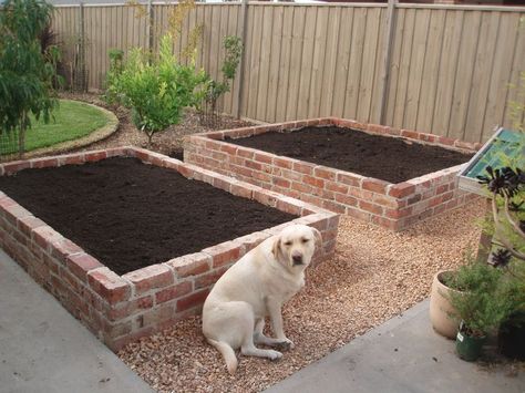 Brick Raised Garden Beds, Creative Raised Garden Beds, Brick Planter, Brick Edging, Vegetable Garden Raised Beds, Building A Raised Garden, Brick Garden, Veg Garden, Have Inspiration