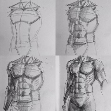 Human Anatomy Drawing, Human Figure Drawing, Human Anatomy Art, Anatomy Sketches, Anatomy Drawing, Poses References, Pencil Art Drawings, Figure Drawing Reference, Anime Drawings Tutorials