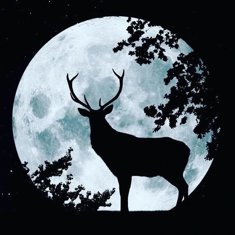 Buck Moon Meaning, Full Moon July, Full Buck Moon, Buck Moon, Full Moon Spells, Thunder Moon, Male Deer, Next Full Moon, Moon Spells