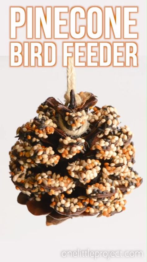 Pine Cone Bird Feeder, Bird Feeder Craft, Bird Seed Ornaments, Homemade Bird Feeders, Bird Treats, Pine Cone Art, Diy Bird Feeder, Cones Crafts, Diy Birds