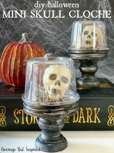 So cute and creepy! Learn to make a mini skull cloche for your DIY Halloween decorations this year! This great Dollar Tree craft for Halloween is easy and fun to make.  #skulldecor #skulldecoration #halloweencloche #halloweendecorations Skull Cloche, Dollar Tree Halloween Crafts, Halloween Cloche, Halloween Crafts Diy, Diy Halloween Home Decor, Dollar Tree Halloween Decor, Cloche Decor, Halloween Decorations To Make, Skull Crafts