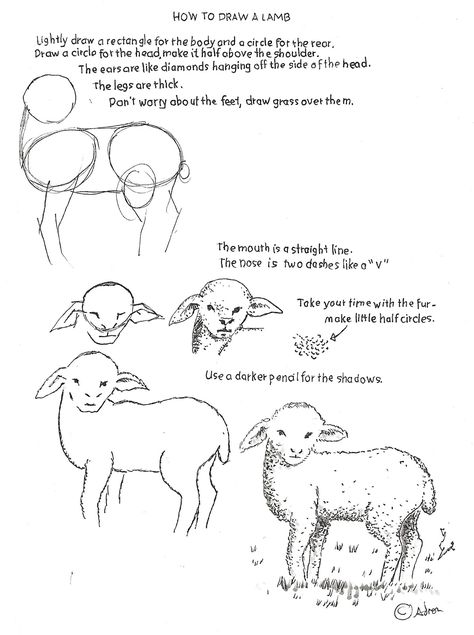 How To Draw A Lamb, How To Draw Sheep, Draw Sheep, Sketches Cartoon, Lamb Drawing, Sheep Drawing, Sheep Paintings, Sheep Art, Draw Manga