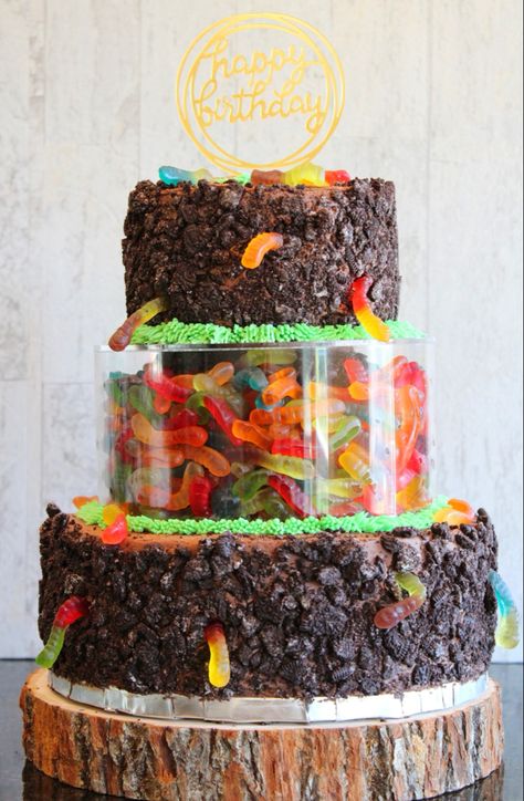 #cake #cakeideas #boyscake #kidscake #cakedecoratingtechniques #boysbirthdaycakes #halloweencake #dirtandwormscake #chocolatecake Dirt And Worms Cake, Worm Birthday Cake, Cake With Gummy Worms, Worms And Dirt, Dirt And Worms, Worm Cake, Lush Cake, Boys Cake, Dirt Cake