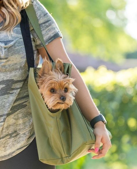 Yorkie In Purse, Cute Dog Toys, Teacup Yorkie Puppy, Baby Snoopy, Yorkie Mix, Yorkie Terrier, Dog Heaven, Puppy Accessories, Teacup Yorkie