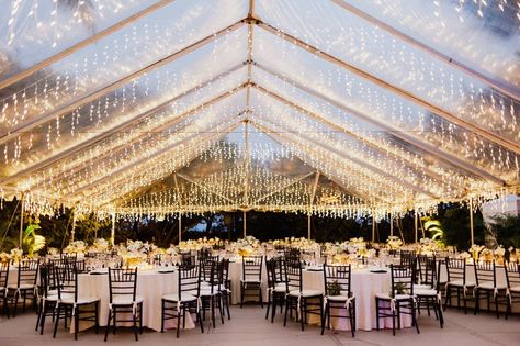 The Raleigh Miami Beach Reception Venue Clear Tent with String Lights and Tables Tent Wedding Reception, Clear Tent, Florida Keys Wedding, Water Wedding, Reception Inspiration, Tent Lighting, Keys Wedding, Wedding Reception Inspiration, Wedding Tent