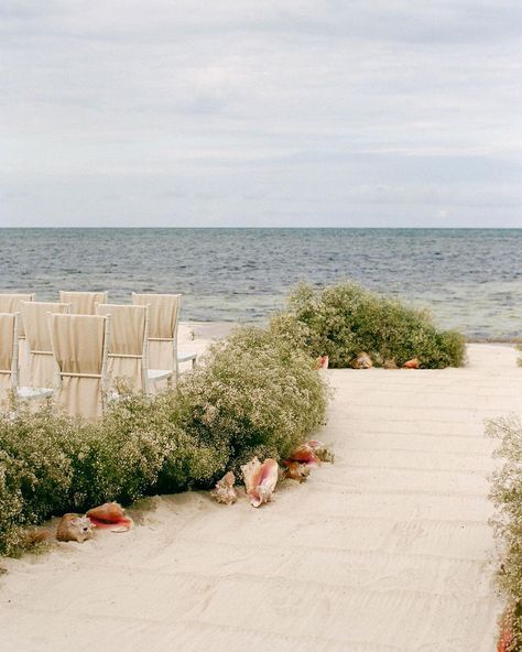 Wild Heart Events | Jaime K. Designer (@wild_heart_events) • Instagram photos and videos Beach Ceremony Set Up, Beachy Wedding Aesthetic, Organic Beach Wedding, Wedding Beach Aesthetic, Beach Wedding Aesthetic, Boat At Night, Wedding Ceremony Beach, Mexican Beach Wedding, Destination Wedding Aruba