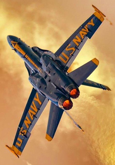 Beautiful Angel F-14d Super Tomcat, Us Navy Blue Angels, Photo Avion, Go Navy, Air Fighter, Blue Angel, Military Jets, Jet Aircraft, Jet Plane