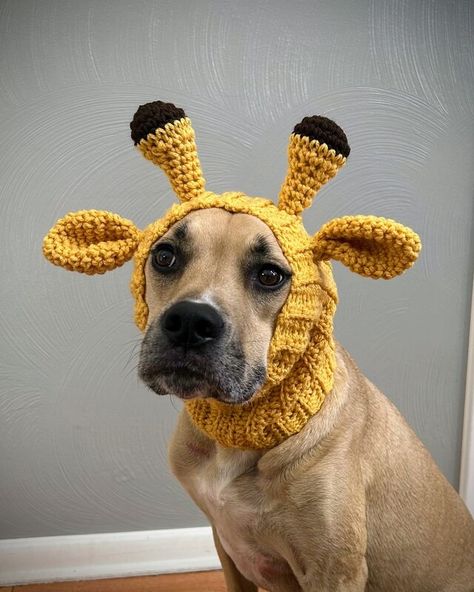 Giraffe Dog Snood Crochet Dog Costume | MakerPlace by Michaels Dog Snoods Crochet Pattern, Crochet Dog Halloween Costume, Crochet Dog Outfit, Dog Snood Crochet Pattern, Crochet Dog Costume, Crochet Dog Hats, Crochet Dog Accessories, Snood Crochet Pattern, Dog Scarf Crochet