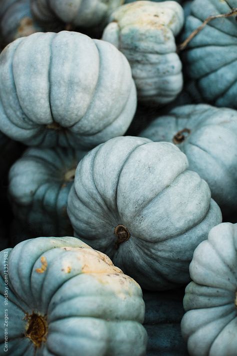 Cinderella Pumpkin Aesthetic, Fall Blue Aesthetic, Blue Fall Aesthetic Wallpaper, Blue Autumn Aesthetic, Fall Aesthetic Blue, Blue Fall Aesthetic, Blue Fall Wallpaper, Echo Aesthetic, Cottage Halloween