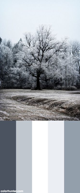 On A Cold Winter's Day 01 Color Scheme from colorhunter.com Cold Grey Palette, Cold Pallette, Cold Pallet Colors, Grey Pallete Color, Cold Colour Palette, Cold Color Palette, Calm Color Palette, Outside Paint, Grey Kitchen Designs