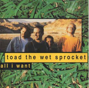 Toad The Wet Sprocket, 90s Rock, Rock Of Ages, Cats Artists, Columbia Records, 90s Music, Sony Music Entertainment, Alternative Rock, Sony Music