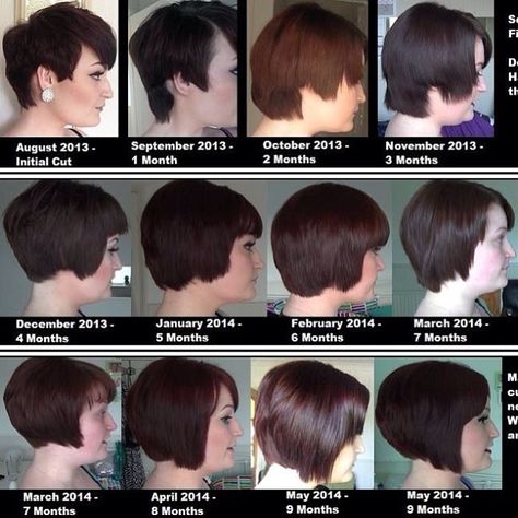 My 9 months of Growing out my Pixie! You can find the 2 monthly video updates on my YouTube channel (link in bio) ☺️ #pixie #pixiecut #pixiegrowth #hair #hairgrowth #shorthair #shortbob #angledbob #haircut #brunette #grownoutpixie #growingoutmypixie How Long To Grow Out A Pixie, Outgrowing Pixie Haircut, Grown Out Pixie Hairstyles Ideas, Stages Of Growing Out A Pixie, Growing Out A Pixie Styles, Grow Out Pixie Hairstyles, Growing Out A Pixie Stages Of, Growing Out Pixie Haircut, Growing Hair Out