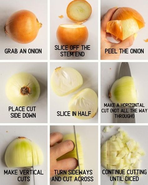 Madeline | Mad About Food on Instagram: “HOW TO DICE AN ONION: This is my method for properly dicing an onion. Adjust the size of your cuts to adjust the size of the dice.⁣ I know…” Culinary Basics, Basic Knife, Cooking For Dummies, Culinary Lessons, Culinary Cooking, Knife Skill, Food Tech, Culinary Techniques, Kitchen Skills