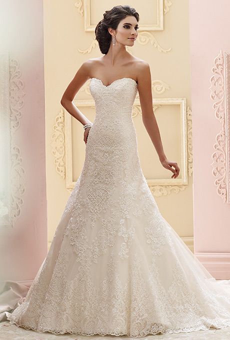 Brides: David Tutera for Mon Cheri. Strapless tulle and hand-beaded embroidered lace over satin A-line dress. Scalloped sweetheart neck and hemline, back covered buttons and chapel length train. Detachable spaghetti and halter straps included. 2015 Wedding, David Tutera, Food Stations, 2015 Wedding Dresses, White Wedding Dress, Glamorous Wedding, Mon Cheri, Black Wedding Dresses, Best Wedding Dresses