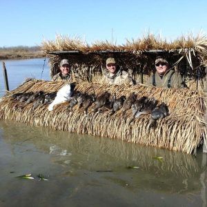 Duck Blinds, Catfish Pond, Duck Hunting Blinds, Mud Boats, Duck Hunting Boat, Blind Ideas, Duck Blind, What The Duck, Duck Boat