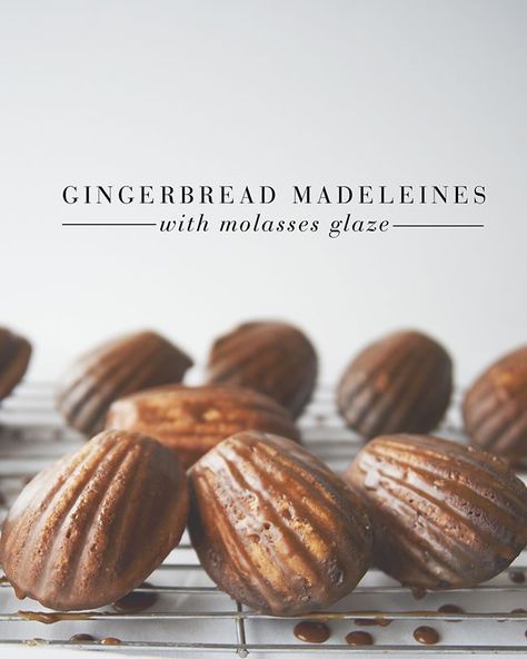 Gingerbread Madeleines with Molasses Glaze, holiday Gingerbread Madelines, Spiced Madeleines, Molasses Glaze, Madeline Cookies Recipe, Madeleine Cookies, Madeline Cookies, Kitchy Kitchen, Madeleine Recipe, Madeleine Cookie