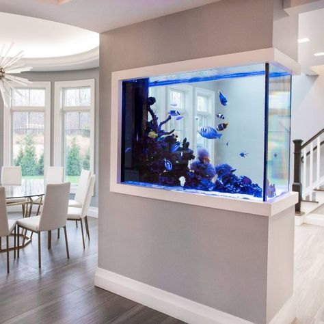 Basement Fish Tank Ideas, Fish Tank In House Living Rooms, Aquarium In The Wall, Custom Aquarium Ideas, Wall Fish Tank Ideas, Built In Fish Tank Wall, Modern Fish Tank Ideas Living Rooms, Fish Tank In Living Room, Home Fish Tank Ideas