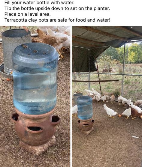 Recycle, Reuse and Repurpose! | Not mine but wanted to share | Facebook Duck And Chicken Coop, Chicken Coop Ideas, Chicken Care, Goat Barn, Backyard Chicken Coop Plans, Terra Cotta Clay Pots, Diy Chicken Coop Plans, Urban Chickens, Dust Bath