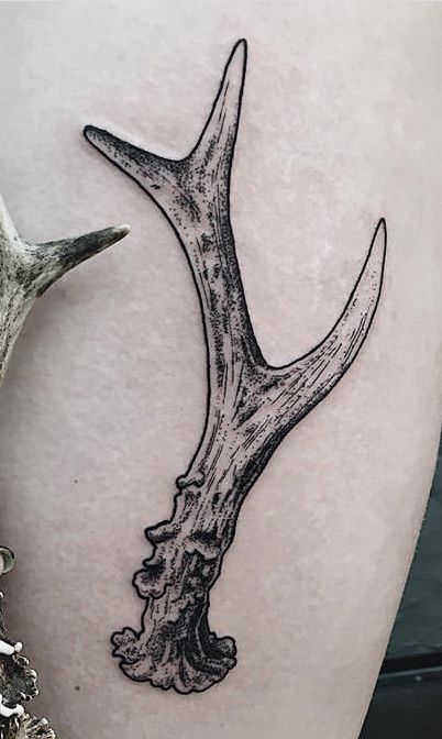 White Tail Deer Antler Tattoo, Shed Antler Tattoo, Deer Horn Drawing, Deer Antler Knee Tattoo, Antler Rib Tattoo, Elk Antler Tattoo Men, Antler Knee Tattoo, Coyote Skull Tattoo, Antler Tattoo Design