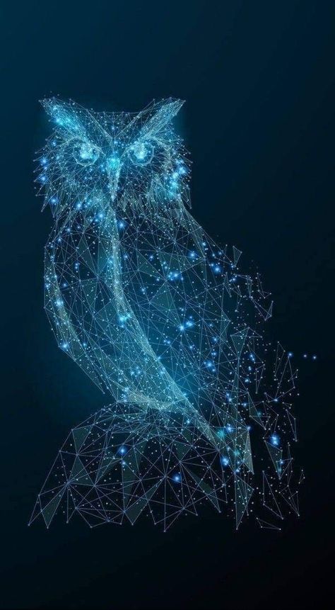 Owl Wallpaper Backgrounds, Owl Wallpaper Iphone, Owl Background, Owls Wallpaper, Cute Owls Wallpaper, Red Spider Lily, Owl Artwork, Owl Wallpaper, Spirit Animal Art