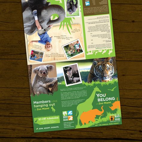 Zoo Brochure, Zoo Signage, Zoo Project, Brochure Examples, Photography Brochure, Voucher Design, Animal Templates, Graphic Design Brochure, Brochure Print