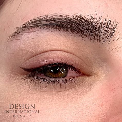 Permanent Upper Eyeliner, Permanent Brown Eyeliner, Permanent Winged Eyeliner, Brown Permanent Eyeliner, Winged Eyeliner Tattoo, Permanent Eyeliner Styles, Eyeliner Tattoo Permanent, Tatoo Eyeliner, Eyeliner Basic