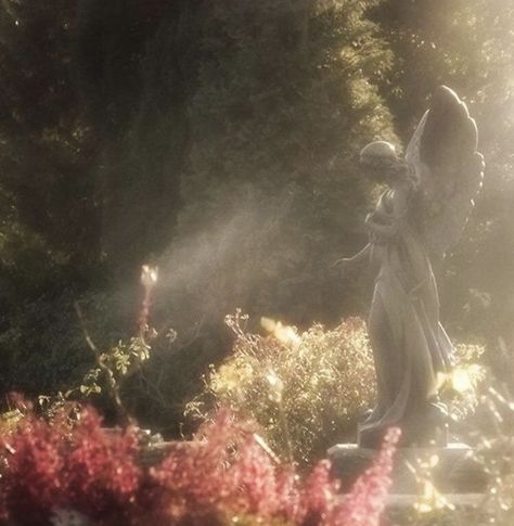 Faerie Aesthetic, Angel Statue, Ethereal Aesthetic, Fairy Aesthetic, Angel Aesthetic, Hades And Persephone, Aesthetic Flowers, Magic Aesthetic, Fantasy Aesthetic