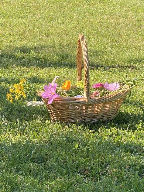 Flower Aesthetic Cottagecore, Nature, Basket Of Flowers Aesthetic, Bright Cottagecore Aesthetic, Flowers In Basket Aesthetic, Wicker Basket Flowers, Flower Crown Cottagecore, Flowers In Picnic Basket, Cottagecore Picnic Basket