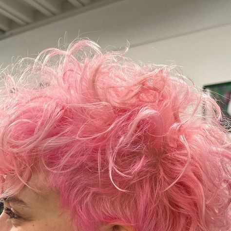 SHAG! on Instagram: "Pink curly perfection 💕✨ Colour by @stephruddhair using @davinescolor #shaglondon #pinkmohawk #pinkcurls #curlymullet #pinkmullet #londonhair #scalpbleach #bleach #davines #olaplex" Pastel Pink Curly Hair, Short Pastel Hair, Shaggy Curly Hair, Curly Pink Hair, Short Pink Hair, Scalp Bleach, Pink Curly Hair, Pink Curls, 2023 Pink