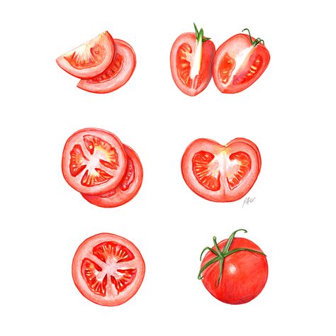 Tomato Cross Section, Tomato Slice Drawing, Tomato Doodle, Draw Tomato, Tomato Tattoo, Tomato Illustration, Tomato Drawing, Watercolor Tomatoes, Tomato Art