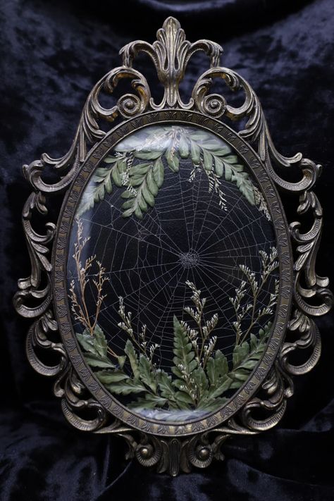 Framed Oddities, Diy Oddity Decor, Oddities Decor Victorian, Oddities Decor Bedroom, Victorian Oddities, Taxidermy Frame, Witchcore Decor, Oddities Display, Oddity Crafts