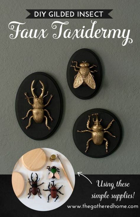 Quick Diy Gifts, Diy Halloween Dekoration, Diy Gifts To Make, Halloween Decor Diy, Insect Taxidermy, Diy Halloween Decor, Faux Taxidermy, Quick Diy, Insect Art