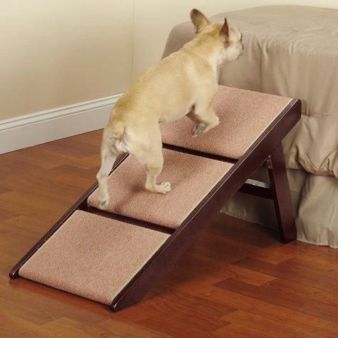 15 Best Dog Stairs of 2021 (Top Rated Reviews for Beds and Cars) Dog Stairs Diy, Dog Stairs For Bed, Dog Steps For Bed, Dogs Bed, Pallet Dog Beds, Pet Ramp, Dog Stairs, Pet Stairs, Bolster Dog Bed