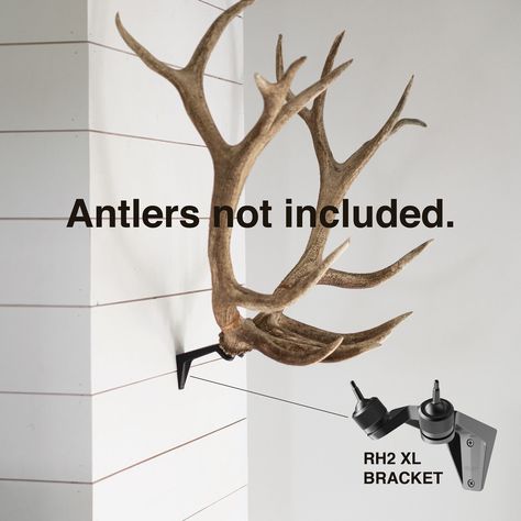 "BLEMISHED PRODUCT - THE BRACKET HAS MINOR SURFACE DEFECTS SHOWN ON THE UNDERSIDE OF THE PRODUCT. PRODUCT IS 100% FUNTIONAL AND WORKS GREAT AND AS IT SHOULD! IT'S PURELY DISCOUNTED BECAUSE OF THE SURFACE FINISH ON THE BRACKETS UNDERSIDE. (ANTLERS NOT INCLUDED) Original Price is $145 MOUNT MOOSE, ELK, OR RED STAG ANTLERS WITH EASE! DIY TAXIDERMY Designed for a pair of BIG GAME antlers, the patent pending RH2 XL is manufactured from high-strength aluminum that has been anodized in a matte black fi Elk Decor Ideas, Elk Antlers Decor, Antler Mounting Ideas, Mounted Antlers Decor, Moose Antler Mount, Deer Antler Display Ideas, Elk Mount Ideas, Elk Antler Decor Ideas, Elk Horn Decor Ideas