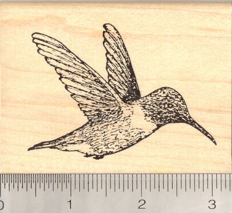 Hummingbird Rubber Stamps (RubberHedgehog.com) Bird Rubber Stamps, Pet Vet, Groundhog Day, Wildlife Conservation, Flags Of The World, Mythological Creatures, Pet Loss, Exotic Pets, Rubber Stamps