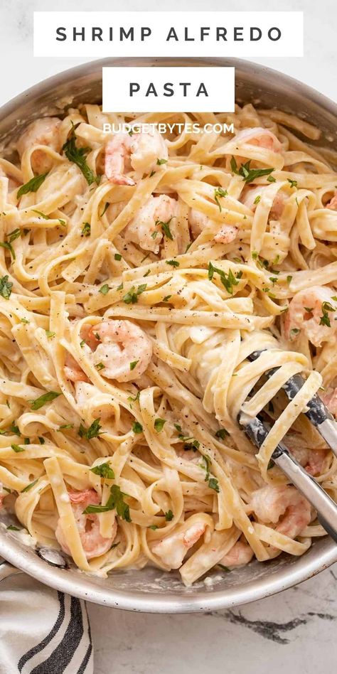 Shrimp Alfredo Pasta is quick and easy to prepare, but feels extra special and luxurious. It's the perfect dish for special occasions! BudgetBytes.com One Pot Shrimp Alfredo, Shrimp Alfredo Pasta With Broccoli, Creamy Garlic Shrimp Pasta Recipes Alfredo Sauce, Cheesy Garlic Shrimp Alfredo, Shrimp Alfredo Pasta Old Bay, Easy Shrimp Alfredo, Seafood Alfredo, Shrimp Alfredo Recipe, Shrimp Alfredo