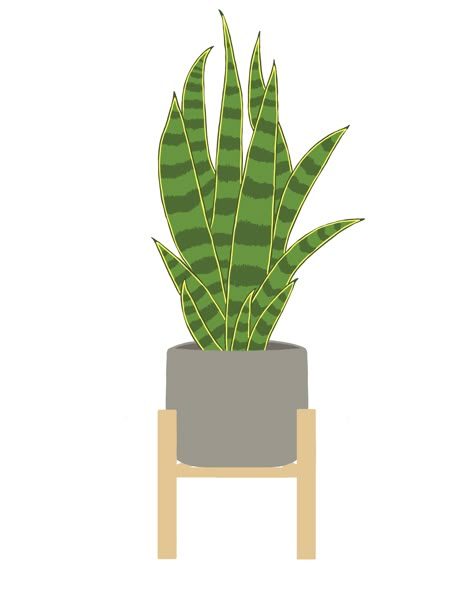 Snake Plant Embroidery, Snake Plant Doodle, Snake Plant Art, Snake Plant Illustration, Snake Plant Drawing, Snake Plant Painting, Potted Plant Drawing, Repotting Snake Plant, Plants Doodle