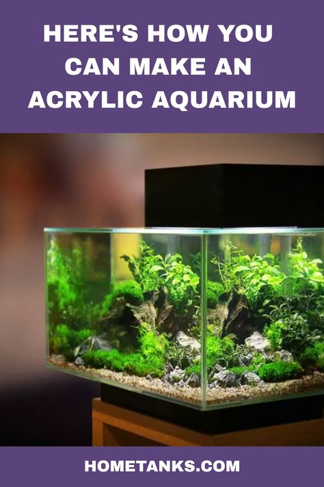 Aquariums can be made of acrylic, glass, wood, or even stone. An acrylic aquarium can be made using only a few materials. This article will help you understand the materials needed to build an acrylic aquarium. #aquariumcare #acrylicaquarium Kitchen Drawer Handles, Aquarium Glass, Acrylic Aquarium, Remove Acrylics, Glue Traps, Aquarium Stand, Tanked Aquariums, Plastic Sheets, Acrylic Sheets