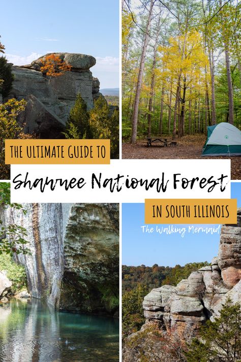 Best Hikes In Illinois, Shawnee Forest Illinois, Things To Do In Southern Illinois, Giant City State Park Illinois, Shawnee National Forest Illinois, Southern Illinois Travel, Illinois Bucket List, Garden Of The Gods Illinois, Hiking Illinois