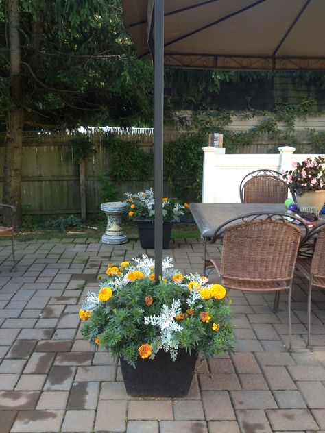 Flower pots to secure backyard gazebo Gazebo Weights Ideas, Budget Renovations, Patios Ideas, Backyard Goals, Large Backyard Landscaping, Hot Tub Gazebo, Backyard Garden Diy, Backyard Swings, Backyard Canopy