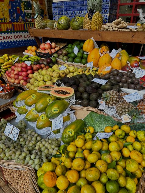 Portugal Culture Aesthetic, Brazil Trip Aesthetic, Brazil Asthetics, Brazil Summer Aesthetic, Brazil Aesthetic Vintage, Brazil Countryside, Brazil Fruit, Rio Aesthetic, Brazil Cafe