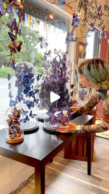 Moth & Myth on Instagram: "Flash back to last autumn when we created the window display with hundreds of morpho butterflies for Bainbridge Apothecary! Playing with that many morphos was so much fun!" Butterfly Window Display, Autumn Window Display, Morpho Butterfly, Woodland Christmas, Window Display, Display Ideas, The Window, Apothecary, Moth