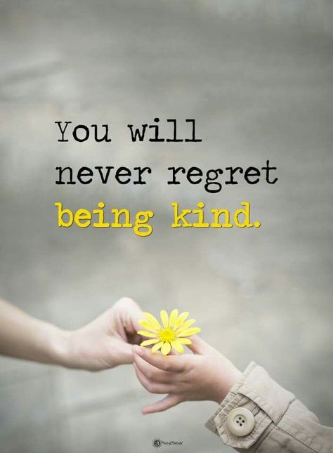 ‘You will never regret being kind.’ #quotes #quote #kindneS A Course In Miracles, Never Regret, Kindness Quotes, Intj, Quotes For Kids, Morning Quotes, Beautiful Quotes, Meaningful Quotes, The Words