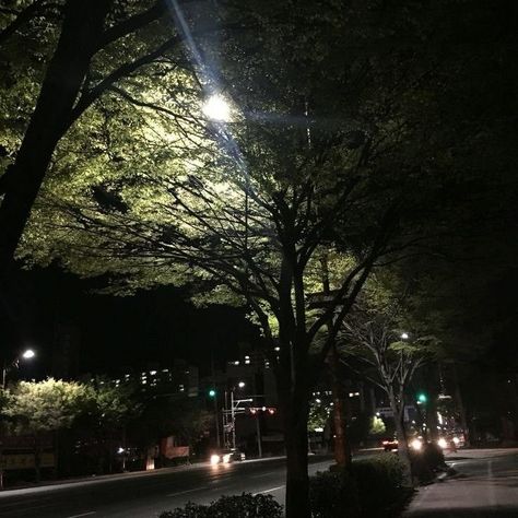 Late Night Korea Aesthetic, South Korea Moodboard, Park At Night Aesthetic Korea, Korea At Night Aesthetic, Night Aesthetic Korea, Spring Night Aesthetic, Night Tree Aesthetic, Korea Night Aesthetic, South Korea Night