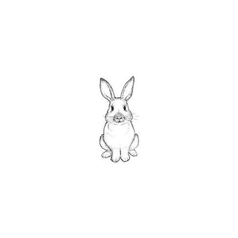 House Rabbit Rubber Stamps (RubberHedgehog.com) ($8) ❤ liked on Polyvore Animal Tattoos, Hase Tattoos, Lapin Art, Petit Tattoo, Rabbit Tattoos, Images Kawaii, Desenho Tattoo, Bunny Art, Tiny Tattoos