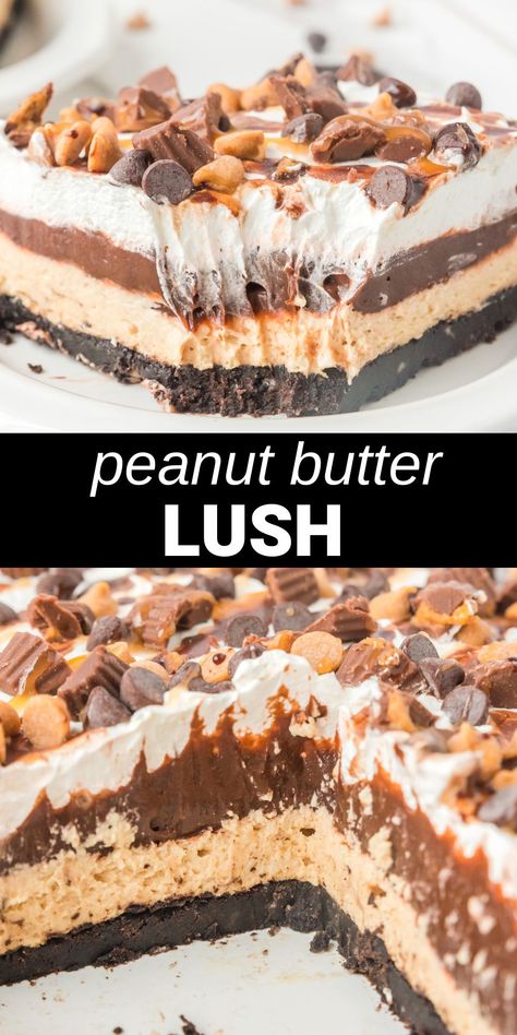 This Peanut Butter Lasagna is an easy 4-layer dessert that’ll have peanut butter fans rejoicing! 13x9 Desserts, Peanut Butter Lush, Cream Cheese And Peanut Butter, Refrigerator Desserts, Orange Truffles, Peanut Butter Lasagna, Layer Dessert, Lush Cake, Chocolate Cookie Crust