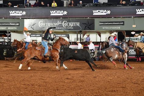 Womens Team Roping Fort Worth Stockyards, Cowgirl Quotes, Cowgirl Magazine, Team Roping, Barrel Racing, Iconic Women, World Championship, Rodeo, Barrel